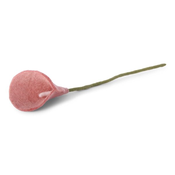 Filzblumen handgefilzte "einzelne Lilie/Flamingoblume/Calla" - Blumen aus Filz - Fair Trade handgemacht (1 Blume (apricot))