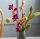Gry & Sif Handgemacht & Fairtrade-Zertifiziert Stilvolles dänisches Design X Nepali Kunsthandwerker| Cerise Blumen am Stiel aus Filz - Künstliche Blumen für Wohnzimmer Dekoration | Cerise