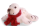 Gry & Sif – Robbenbaby mit rotem Schal