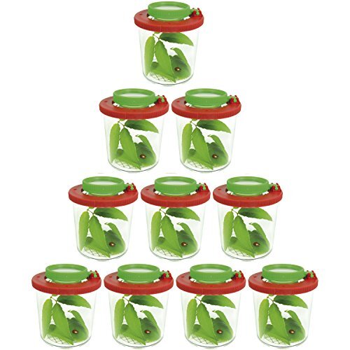 Eduplay Lupendose Ø 6 cm, H 7 cm, mit Plastikspinne, Stück:10 Stück