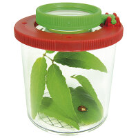 Eduplay Lupendose Ø 6 cm, H 7 cm, mit...