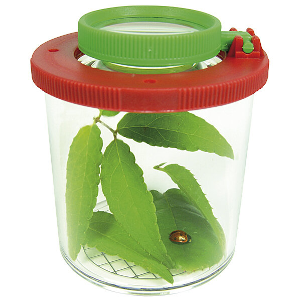 Eduplay Lupendose Ø 6 cm, H 7 cm, mit Plastikspinne, Stück:5 Stück